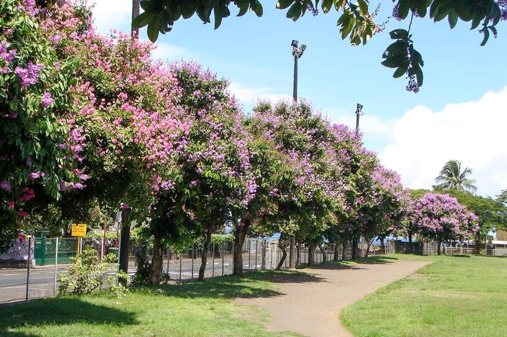 Fare Natihere Papeete  Bagian luar foto